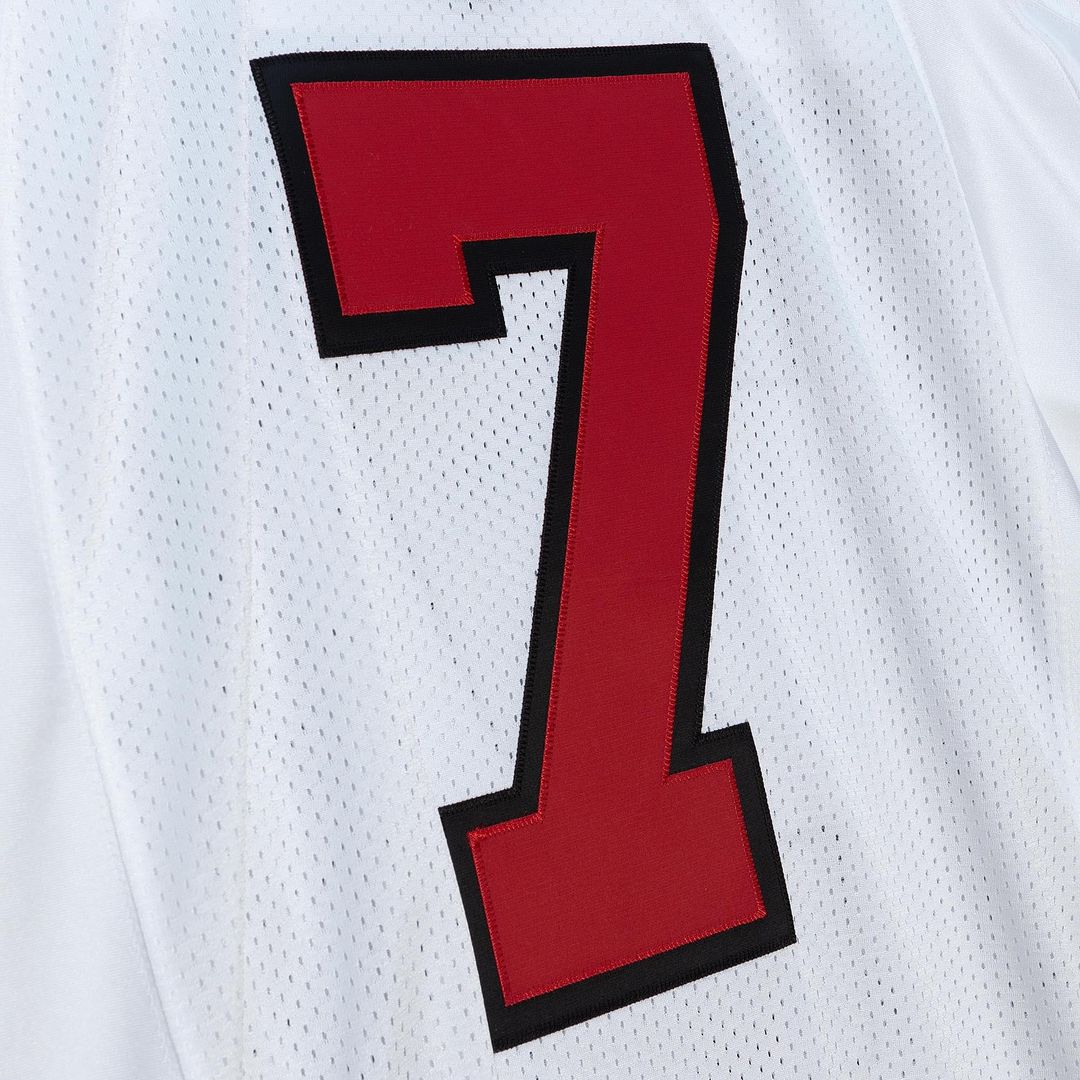 Michael Vick Atlanta Falcons 2003 Mitchell & Ness Red Authentic Throwback Retired Player Jersey