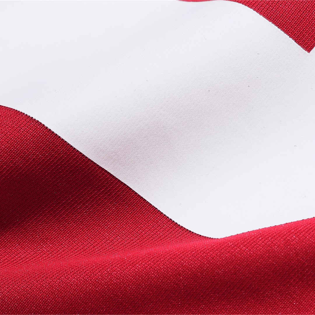 The Faithful San Francisco 49ers Nike Scarlet 80th Anniversary Game Jersey