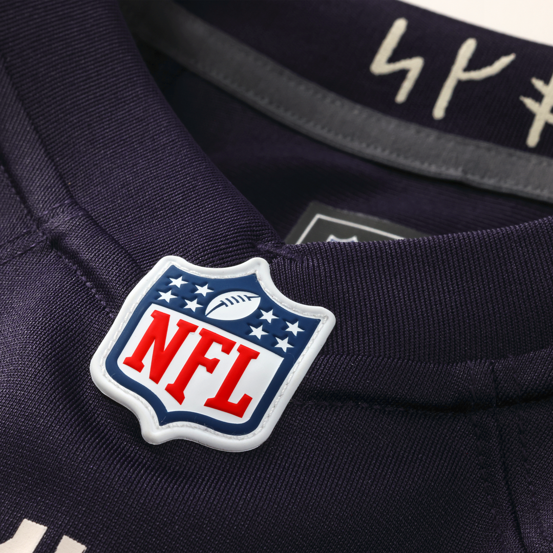 Andrew Van Ginkel Minnesota Vikings Nike Purple 2026 Rivalries Collection Game Jersey