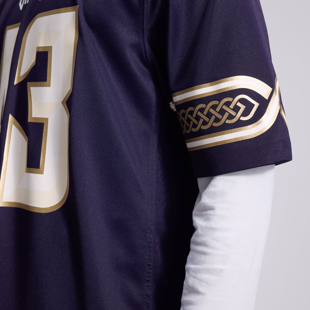 Andrew Van Ginkel Minnesota Vikings Nike Purple 2026 Rivalries Collection Game Jersey