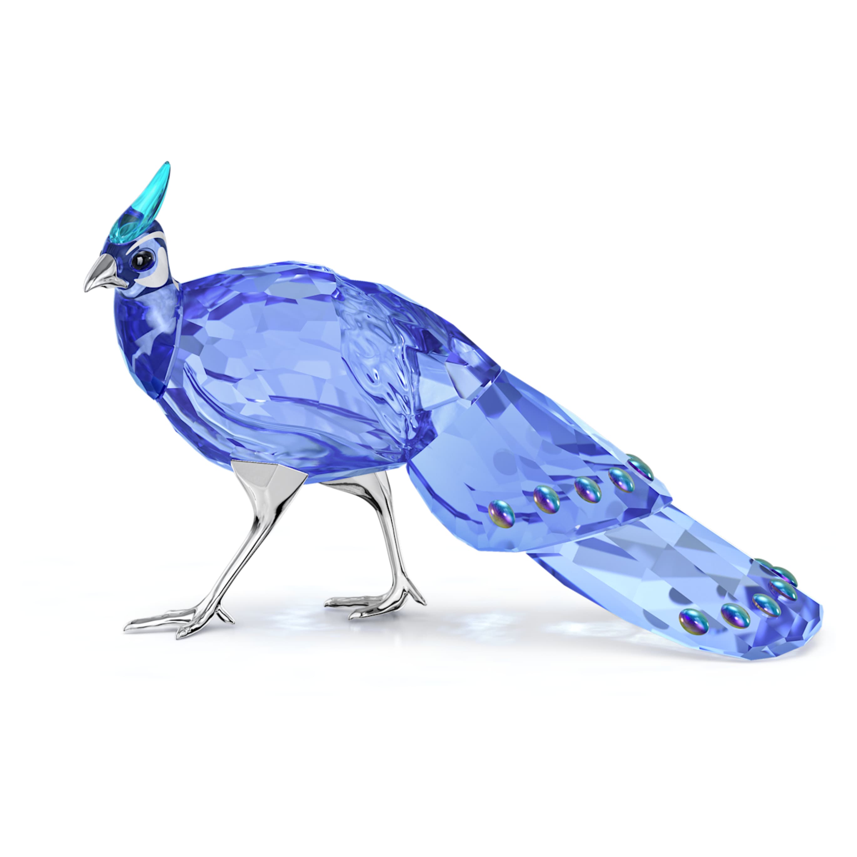 Swarovski Idyllia SCS Palawan Peacock-Pheasant