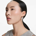 Swarovski Swan earrings Swan, White, Rhodium plated